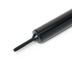 Shock Absorber  854S19267